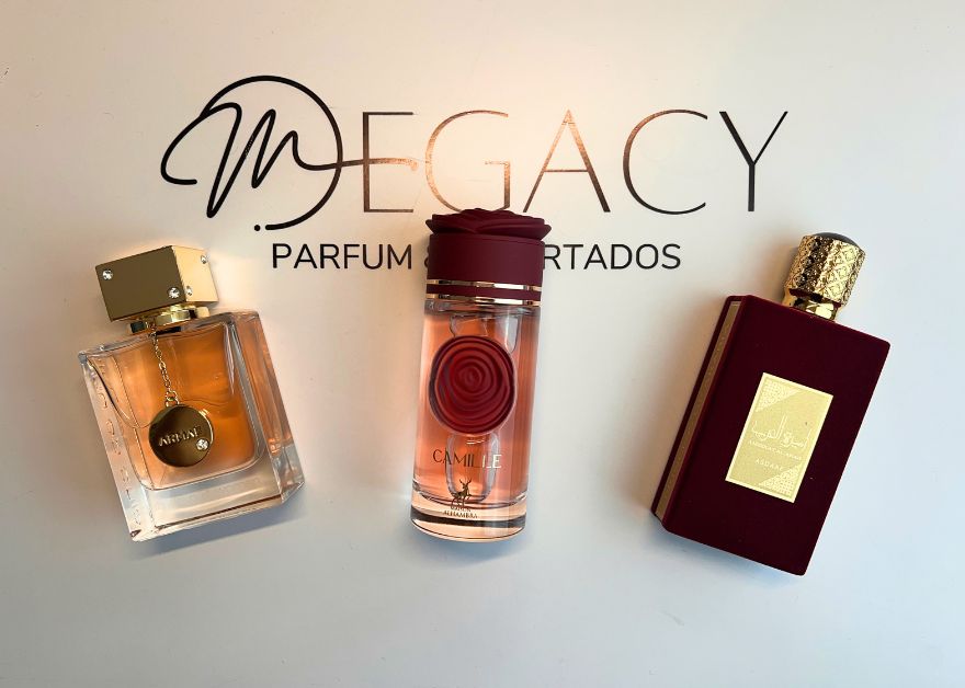 PROMOÇÃO COMPRE 1 LEVE 3 - Princess of Arabia, Camille For Women e Club de nuit - Edição Limitada ❤️ - 100ml Cada